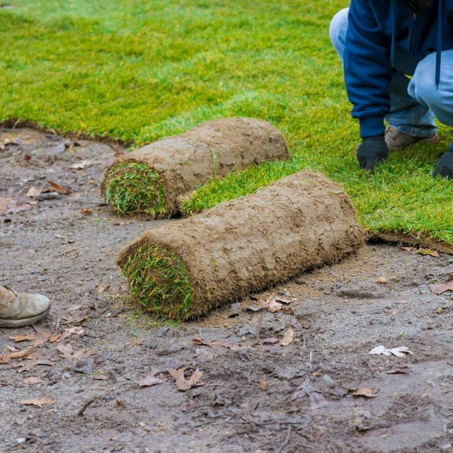 Gartenbau 9